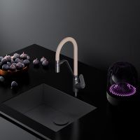 Смеситель для кухни AM.PM Like Черный матовый Бежевый арт-F8007826 — фото 11, Смесители для кухни