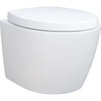 Унитаз Aquanet ZV-1 подвесной с сиденьем Микролифт арт-303977 — фото 1, Подвесные унитазы