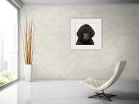 Обои Wiganford by Solo Crystal Ice Винил на флизелине (1,06*10,05) Серый, Штукатурка арт-AK21004 — фото 3, Обои для стен