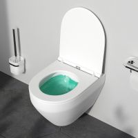 Унитаз AM.PM Spirit V2.0 FlashClean подвесной Белый матовый с сиденьем микролифт арт-C701700MWSC — фото 13, Подвесные унитазы