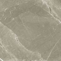 Керамогранит Prissmacer Fior Di Bosco Noce 60х60 см арт-78803145 — фото 1, Керамогранит