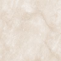 Керамогранит Гранитея 60х60 Sugomak Brown РR G324 60х60 см арт-G324П60 — фото 1, Керамогранит