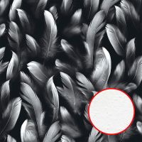 Фреска Ortograf Levity 33363 Фактура бархат FX Флизелин (2,7*2,7) Черный/Белый, Перья арт-33363 (бархат FX) — фото 1, Фрески