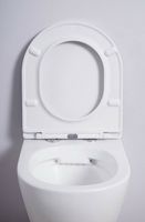 Унитаз Esbano Azalea подвесной Белый глянцевый с сиденьем Микролифт арт-ESUPAZALW — фото 9, Подвесные унитазы