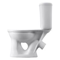 Унитаз компакт Santeri Виктория с бачком и сиденьем арт-1.P301.6.S00.00B.F — фото 4, Напольные унитазы