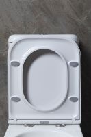 Унитаз компакт Allen Brau Infinity Белый без бачка и сиденья арт-4.21001.20 — фото 12, Напольные унитазы