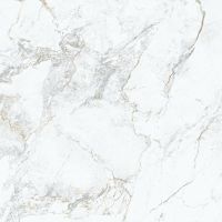Керамогранит Porcelanite Dos Iguazu 1865 White 100х100 см арт-PCD000049 — фото 1, Керамогранит