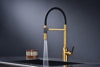 Смеситель для кухни Paulmark Magneto One Брашированное золото арт-Ma213188-BG — фото 4, Смесители для кухни