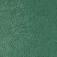 Обои Bernardo Bartalucci Legend Флизелин (1,06*10) Зеленый, Однотонные арт-5068-57 — фото 1, Обои для стен