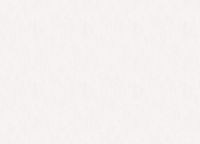 Обои Marburg Structure Винил на флизелине (1,06*10,05) Белый, Штукатурка арт-30077 — фото 2, Обои для стен