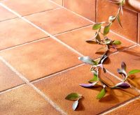 Клинкер Gres de Aragon Esmaltados Classic Italia Pisa GL36 25x25 см арт-901610 — фото 7, Ступени и клинкер