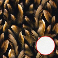 Фреска Ortograf Levity 33362 Фактура бархат FX Флизелин (2,7*2,7) Черный/Золото, Перья арт-33362 (бархат FX) — фото 1, Фрески