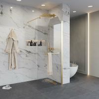 Душевая перегородка Niagara Nova 120 профиль Холодное золото стекло прозрачное арт-NG-641-12GOLD — фото 1, Душевые перегородки