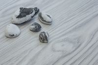 Виниловый ламинат Art East Stone Armor ARM 95 Граб Брюса 1220х196х9 мм арт-95 ARM — фото 4, Виниловый ламинат