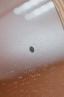 Зеркало Silver Mirrors Lucas TX 70 с подсветкой с бесконтактным выключателем арт-LED-00002970 — фото 6, Зеркала в ванную комнату