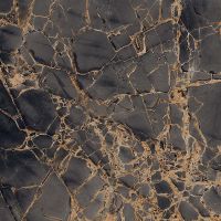 Керамогранит Primavera Golden Black High glossy 60x60 см арт-GR101 — фото 1, Керамогранит