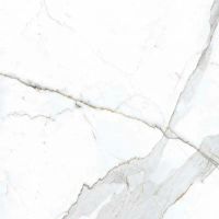 Керамогранит Primavera Dario Matt 60х60 см арт-NR101 — фото 3, Керамогранит