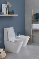 Товар: Унитаз компакт Jacob Delafon Rodin+ без бачка и сиденья арт-UJAB102-00 - фото 7 Унитаз компакт Jacob Delafon Rodin+ без бачка и сиденья арт-UJAB102-00 — фото 7, Напольные унитазы