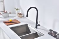 Товар: Смеситель для кухни Paulmark Galant Антрацит арт-Ga213077-AN - фото 2 Смеситель для кухни Paulmark Galant Антрацит арт-Ga213077-AN — фото 2, Смесители для кухни