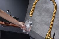 Смеситель для кухни Paulmark Universal Брашированное золото арт-Un213880-BG — фото 10, Смесители для кухни