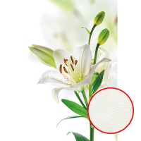 Фреска Ortograf Цветы 3612 Фактура флок FLK Флизелин (1,8*2,7) Белый/Зеленый, Цветы арт-3612 (флок FLK) — фото 1, Фрески