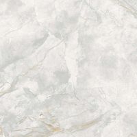 Керамогранит A-Ceramica Elison Polished 166687 60х60 см арт-00-00048924 — фото 2, Керамогранит