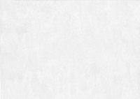 Обои Prima Italiana Medici Винил на флизелине (1,06*10) Белый/Серебряный, Штукатурка арт-80013 — фото 2, Обои для стен