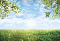 Фреска Ortograf Relax 34265 Фактура бархат FX Флизелин (4*2,7) Голубой/Зеленый, Небо/Пейзаж арт-34265 (бархат FX) — фото 2, Фрески