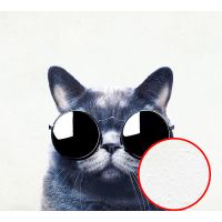 Фреска Ortograf Животные 33189 Фактура бархат FX Флизелин (3*2,7) Белый/Серый, Животные арт-33189 (бархат FX) — фото 1, Фрески