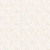 Обои Andrea Grifoni Palazzo Ducale Флизелин (1,06*10,05) Бежевый, Штукатурка арт-7014-2 — фото 1, Обои для стен