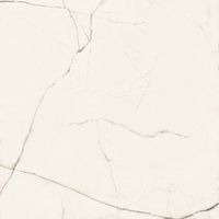 Керамогранит Ceramica D Imola The Room Sta VP6 60 Lp 60х60 см арт-StaVP660Lp — фото 1, Керамогранит