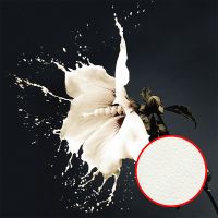 Фреска Ortograf Цветы 33117 Фактура флок FLK Флизелин (2,7*2,7) Белый/Черный, Цветы арт-33117 (флок FLK) — фото 1, Фрески