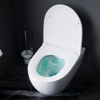 Унитаз AM.PM Awe подвесной с сиденьем Микролифт арт-C111700SC — фото 14, Подвесные унитазы