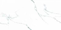 Керамогранит Art Ceramic Platinum White 60х120 см арт-ЦБ-00043909 — фото 1, Керамогранит