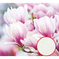 Фреска Ortograf Цветы 30086 Фактура флок FLK Флизелин (3*2,7) Розовый, Цветы арт-30086 (флок FLK) — фото 1, Фрески