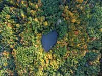 Товар: Фреска Ortograf Горы 30923 Фактура флок FLK Флизелин (3,6*2,7) Зеленый, Деревья/Природа арт-30923 (флок FLK) - фото 2 Фреска Ortograf Горы 30923 Фактура флок FLK Флизелин (3,6*2,7) Зеленый, Деревья/Природа арт-30923 (флок FLK) — фото 2, Фрески