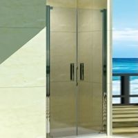 Душевая дверь в нишу WeltWasser WW600 K2 90 профиль Хром стекло прозрачное арт-10000002734 — фото 1, Распашные душевые двери