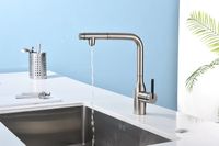 Смеситель для кухни Paulmark Viper Никель арт-Vi213105-NI — фото 6, Смесители для кухни