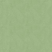 Обои Yien Feerie Винил на флизелине (1,06*10) Зеленый, Штукатурка арт-3502-12 — фото 1, Обои для стен