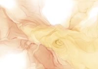 Фреска Ortograf Fluid art 33652 Фактура бархат FX Флизелин (3,8*2,7) Желтый/Оранжевый, Абстракция арт-33652 (бархат FX) — фото 2, Фрески