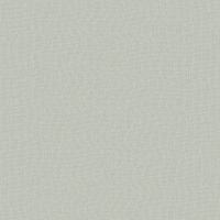 Обои LOYMINA Shade 2 Винил на флизелине (1*10,05) Серый, Однотонные арт-SDR1 008/1 — фото 1, Обои для стен