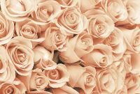 Фреска Ortograf Цветы 5384 Фактура флок FLK Флизелин (4*2,7) Розовый, Цветы арт-5384 (флок FLK) — фото 2, Фрески