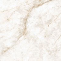 Керамогранит Prissmacer Almaden Pulido 60х60 см арт-78803101 — фото 1, Керамогранит