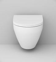 Комплект унитаза с инсталляцией AM.PM Spirit V2.0 FlashClean с сиденьем Микролифт и клавишей смыва Никель матовый арт-IS47031.701700 — фото 6, Комплекты унитаз + инсталляция