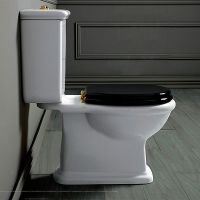 Унитаз компакт Simas Lante без бачка и сиденья арт-LA08bi — фото 6, Напольные унитазы