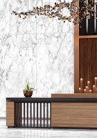 Керамогранит Simpolo Lumino Arbetto Snow 60х120 см арт-MPL-062334 — фото 2, Керамогранит