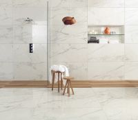 Керамогранит Caesar Anima Calacatta Oro Rett Lucidato 30х60 см арт-ACML — фото 2, Керамогранит