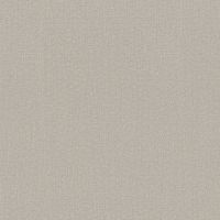 Обои AS Creation Original View Винил на флизелине (0,53*10,05) Коричневый, Рогожка арт-2117-12 — фото 1, Обои для стен