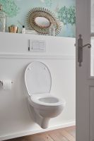 Клавиша смыва Jacob Delafon Белый глянец арт-E20858-00 — фото 5, Кнопки смыва