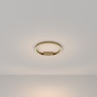 Потолочный светильник Maytoni Modern Rim Латунь арт-MOD058CL-L35BS3K — фото 2, Накладные светильники